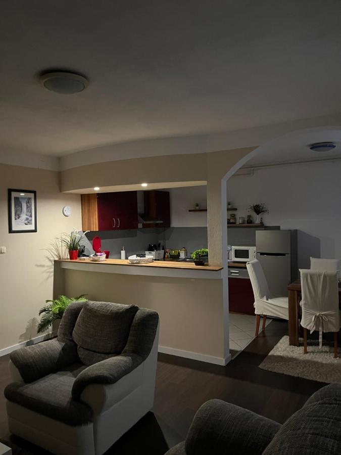 Apartment T&M Zagreb Airport Velika Gorica Buitenkant foto