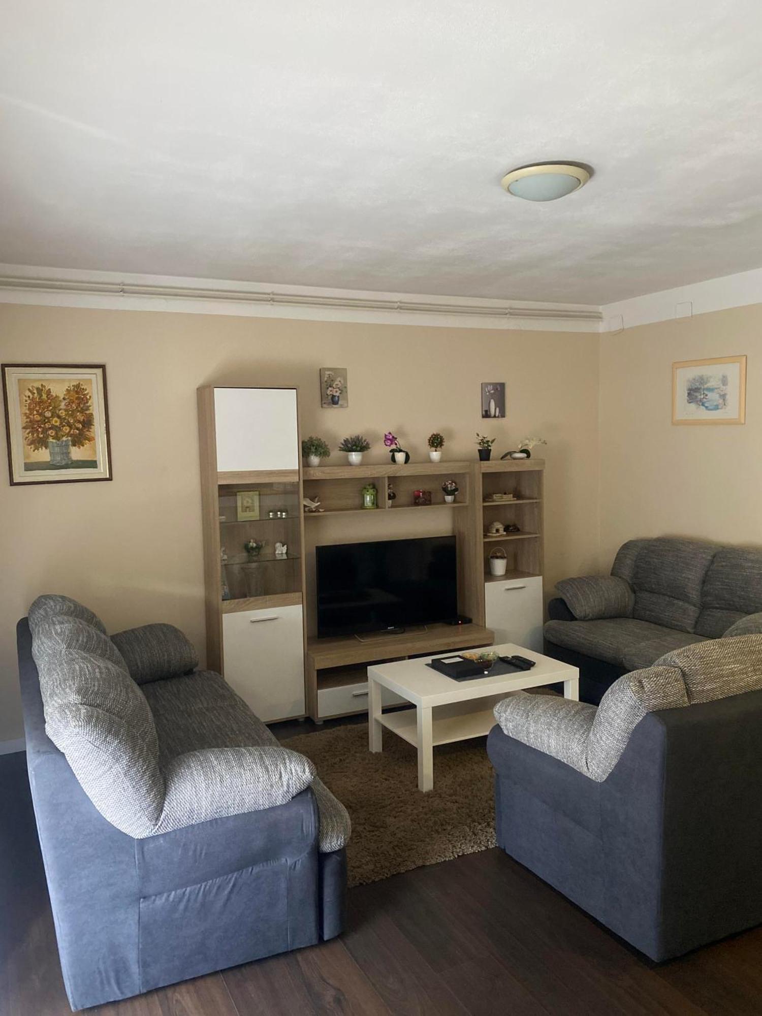 Apartment T&M Zagreb Airport Velika Gorica Buitenkant foto